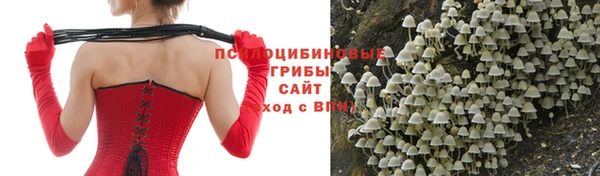 таблы Алексин