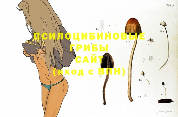 крисы Алексеевка