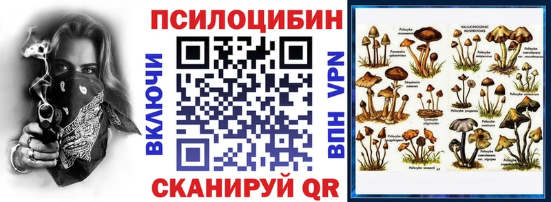 Псилоцибиновые грибы мицелий  Раменское 